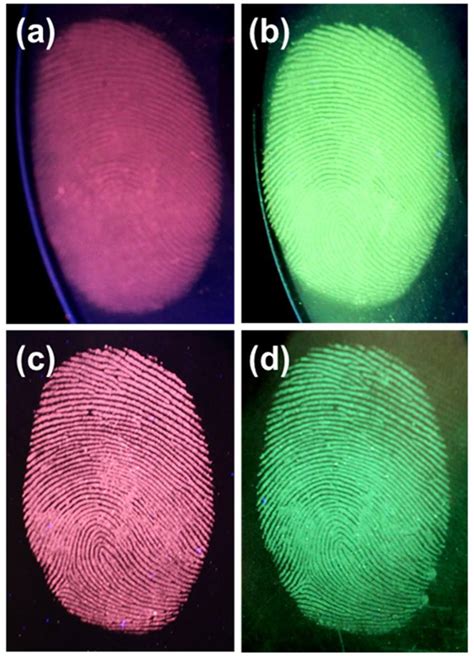 does the autoclave destroy latent fingerprints|fingerprint degradation.